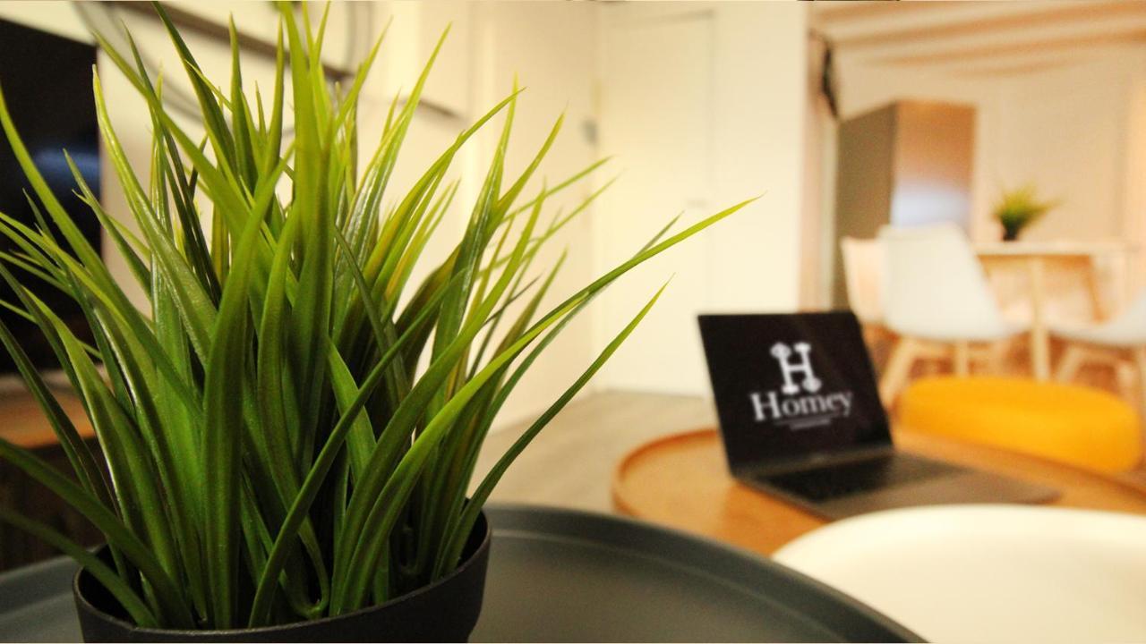 Homey Bella - New / Duplex / Downtown / Close Geneva Annemasse Εξωτερικό φωτογραφία